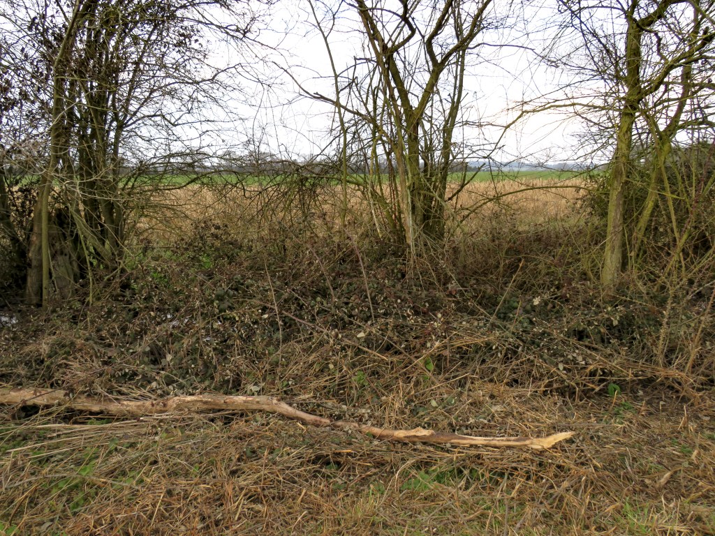 Overlooking the fields towards Bernard Matthews Upper Holton.