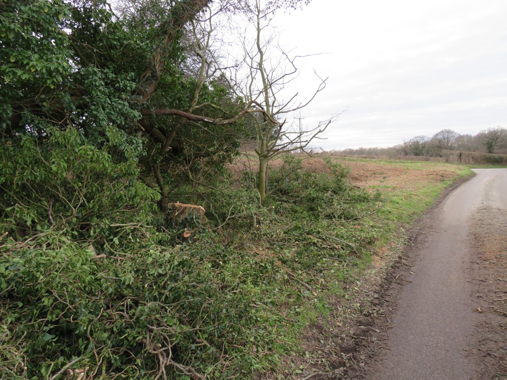 The road between Halesworth and Wenhaston in Winter